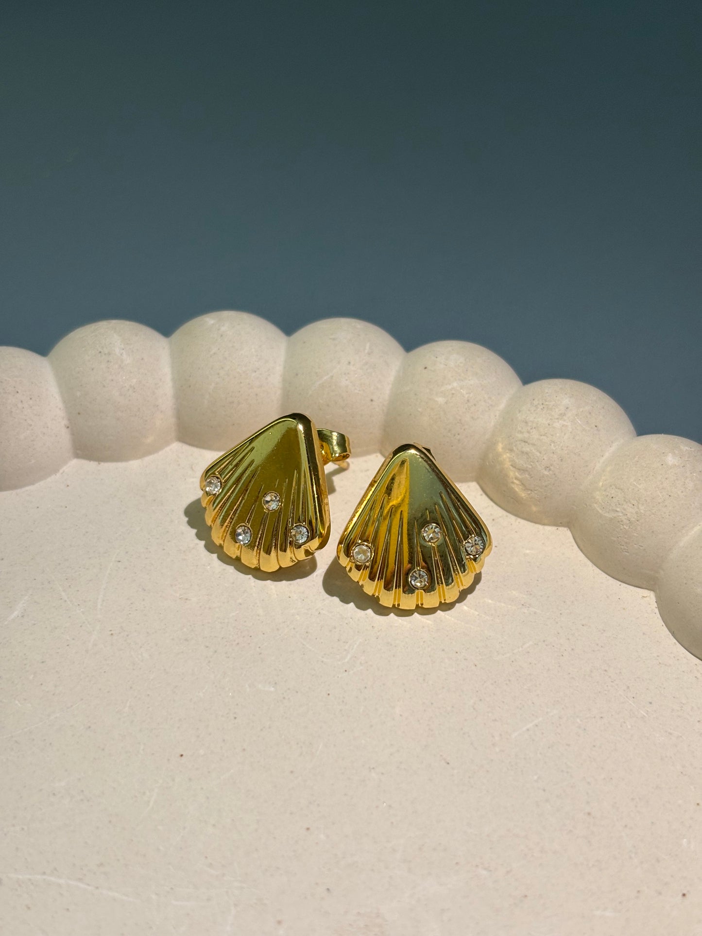 Seashell earrings