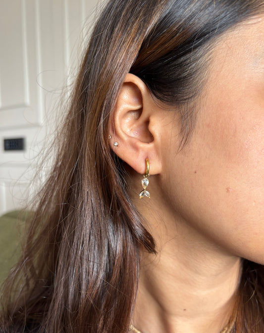 Fiona danglings