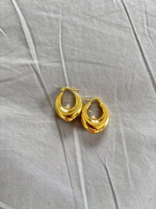 Emily hoops